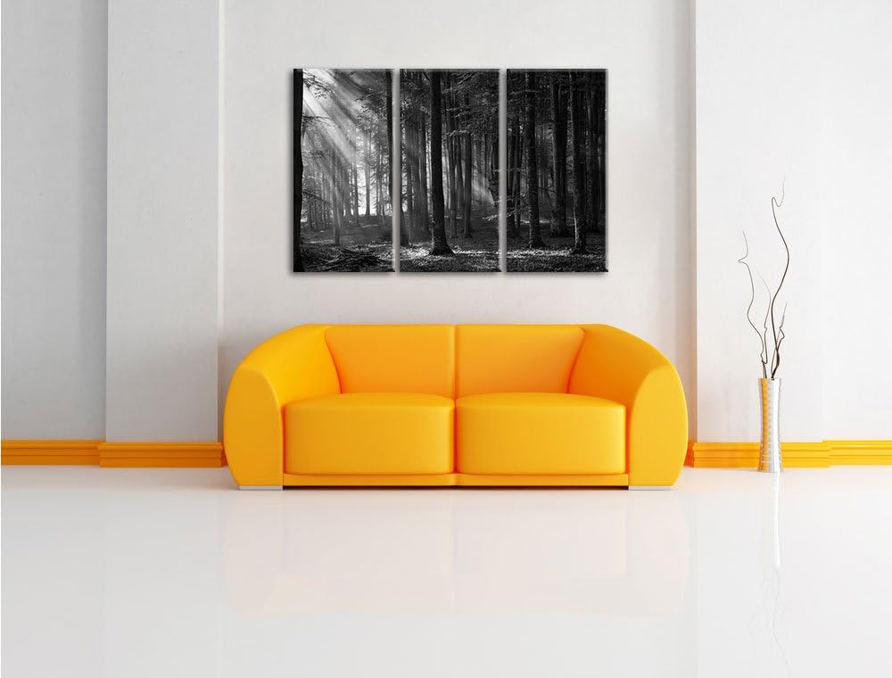 Pixxprint Märchenwald / 3-Teilig/Gesamtmass 120cm Leinwandbild bespannt auf Holzrahmen/Wandbild Kuns