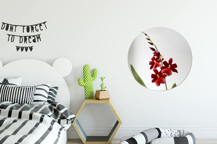 MuchoWow Wandbild Rund Wanddeko Deko Wohnzimmer Bilder 60x60 cm Rote Orchidee mit Blättern auf weiss