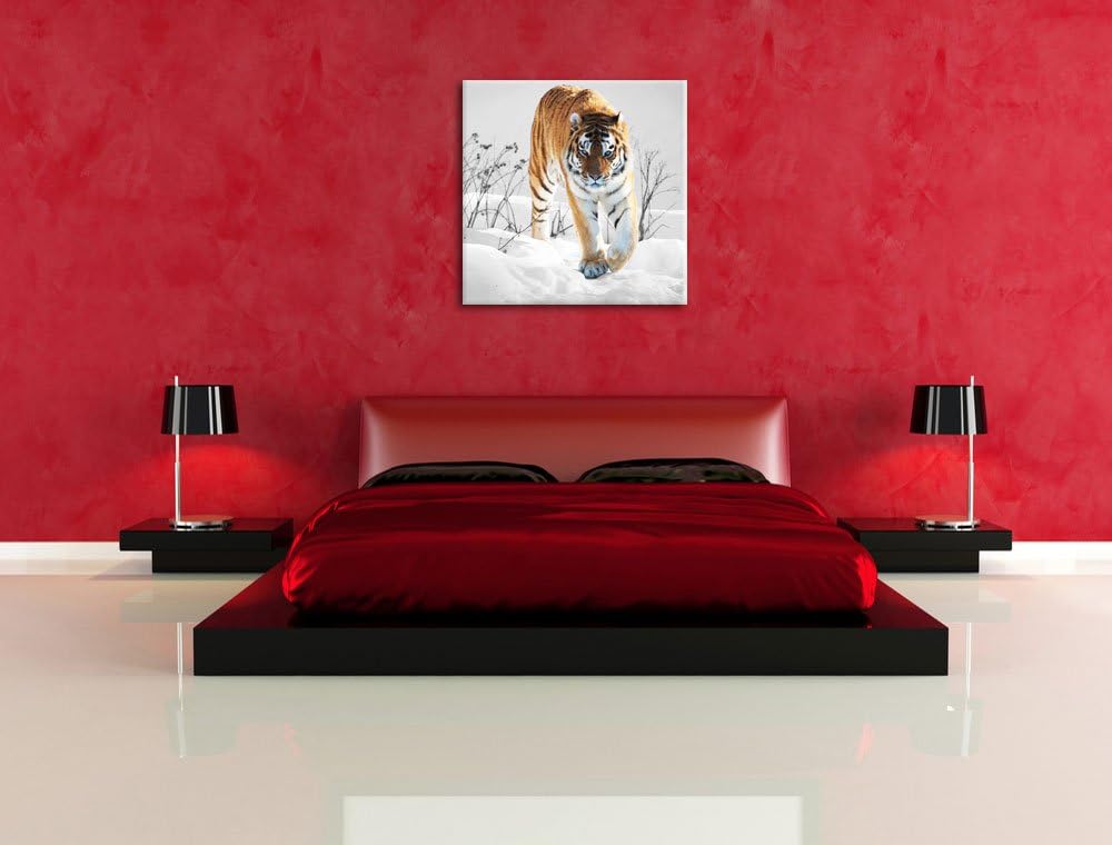 Pixxprint Grosser Wilder Tiger im Schnee als Leinwandbild/Grösse: 70x70 cm/Wandbild/Kunstdruck/ferti