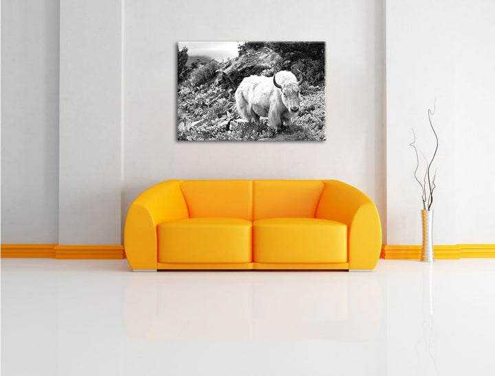 Pixxprint Schönes Yak Himalaya Kunst B&W als Leinwandbild/Grösse: 100x70 cm/Wandbild/Kunstdruck/fert