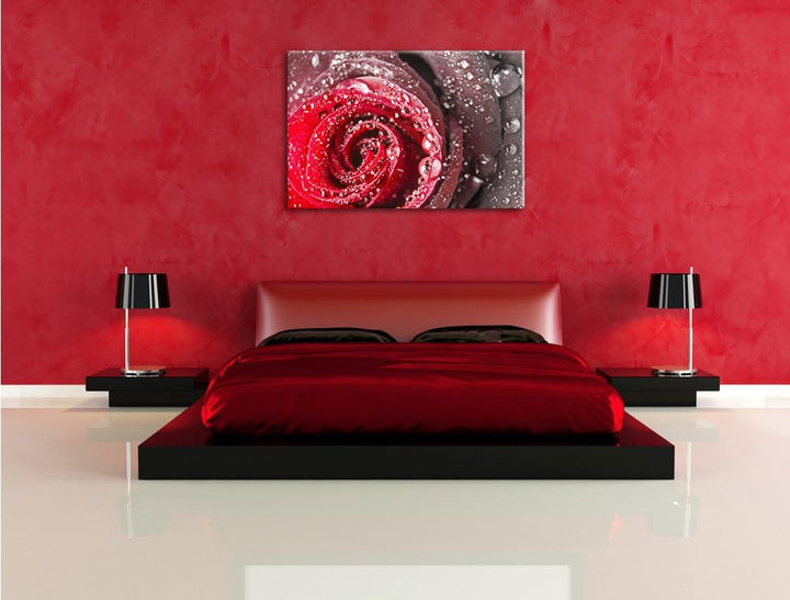 Pixxprint Rose mit Wassertropfen als Leinwandbild/Grösse: 100x70 cm/Wandbild/Kunstdruck/fertig bespa