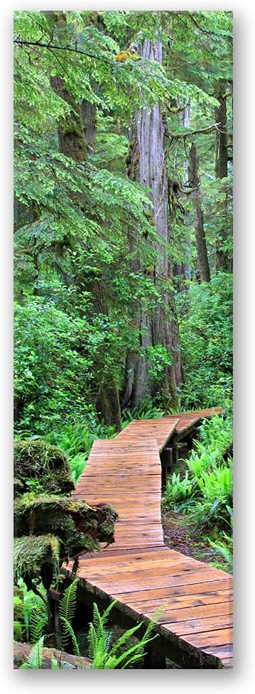 Febby Vlies Leinwandbild XXL Fussgängerbrücke Durch Den Wald 50x150 cm Wandbild Kunst Bilder Schlafz