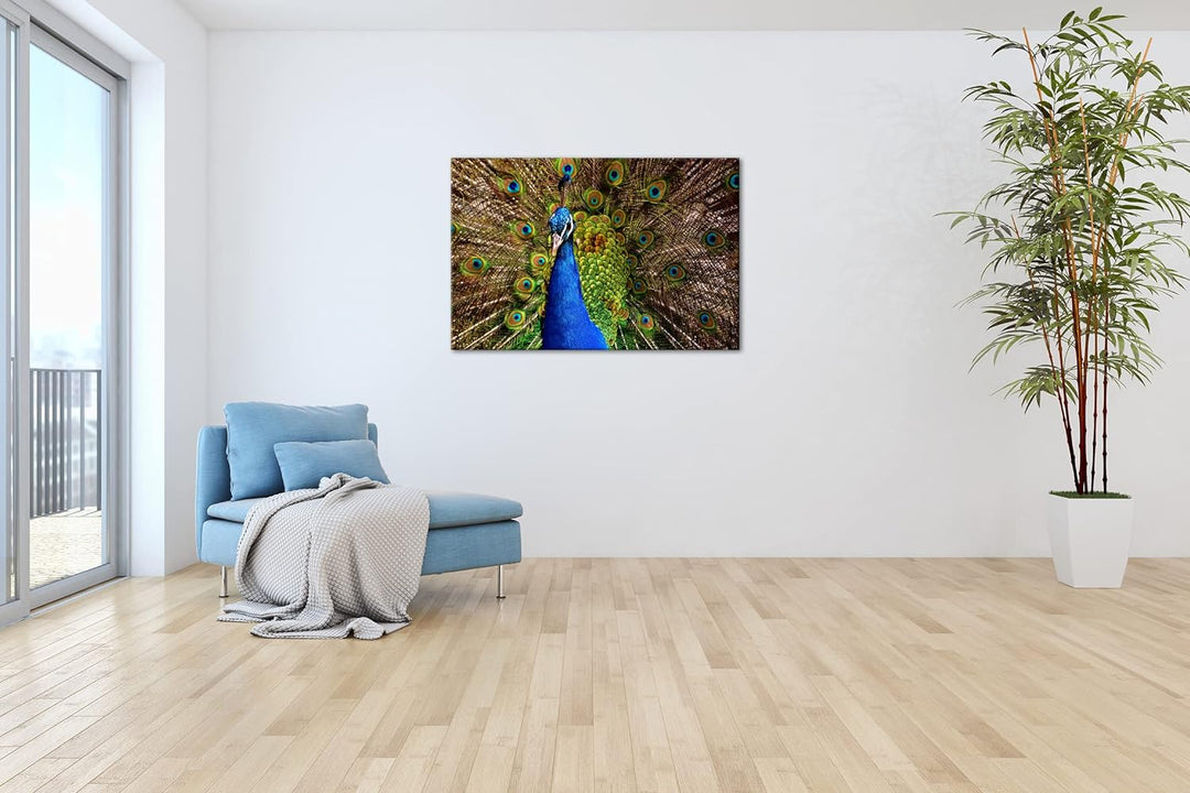 deyoli himmlisches Pfau Gefieder Format: 80x60 cm als Leinwandbild, Motiv fertig gerahmt auf Echthol