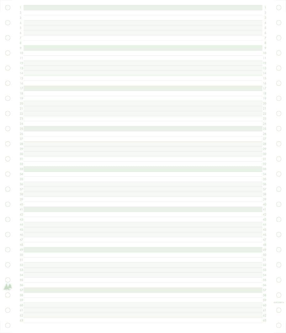 Exacompta 62211E Packung mit 2000 Blatt Computerpapier endlos, 240 mm x 11" (27,94 cm) 1-fach, linie