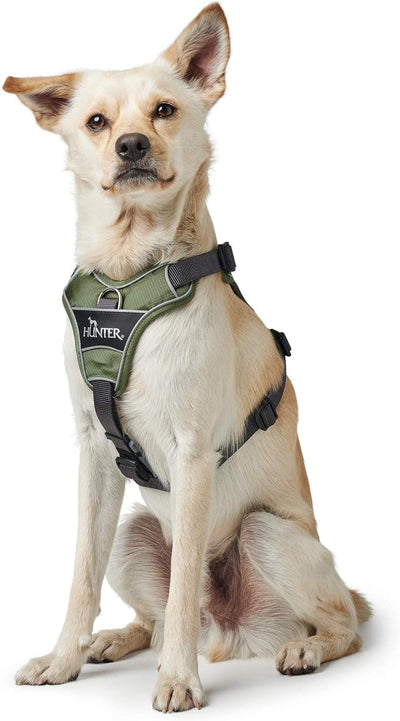 HUNTER DIVO Hundegeschirr, M, 56-73 cm, gün/grau 56 - 73 cm grün/grau, 56 - 73 cm grün/grau