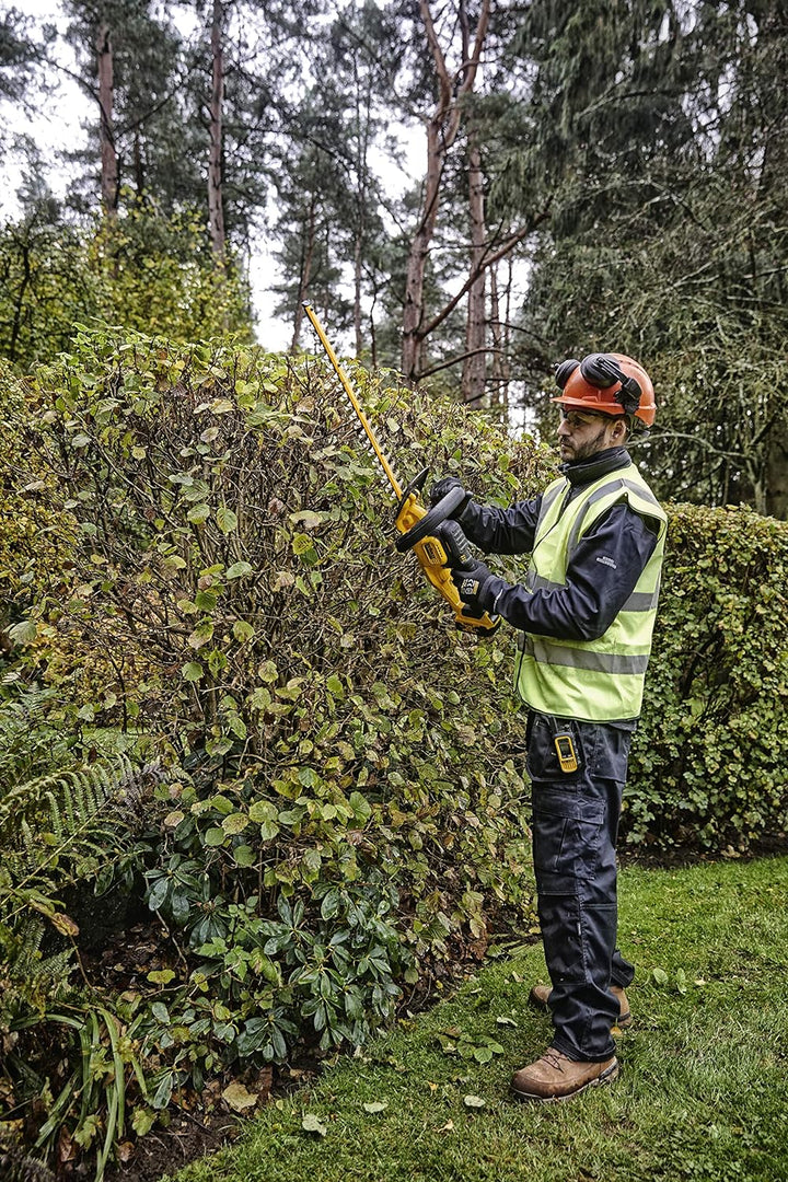 DEWALT Cortasetos XR 18V con 1 baterrie Li-Io Multicolor