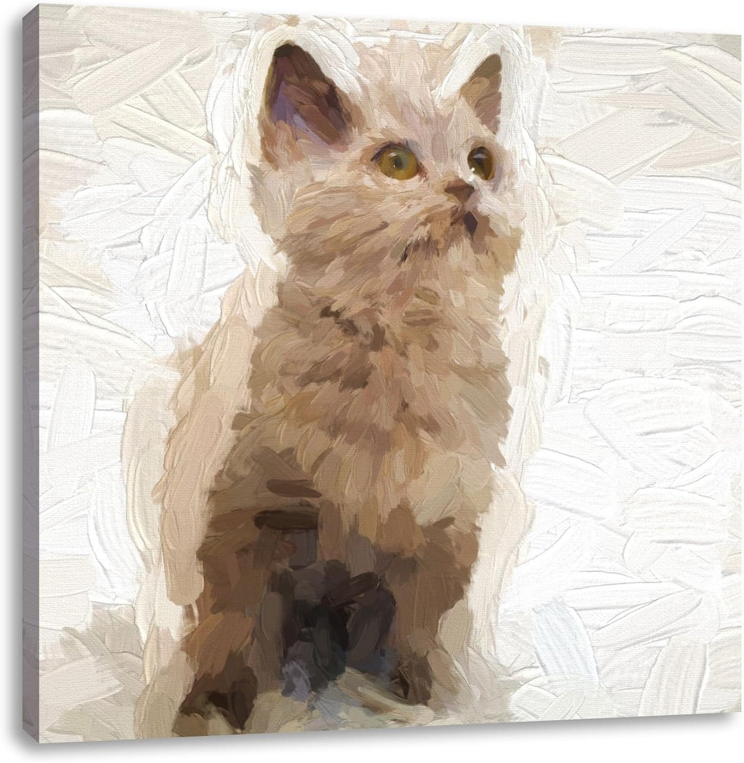 Pixxprint Niedliches Katzenbaby auf Teppich Pinsel Effekt, Format: 70x70 auf Leinwand, 70x70