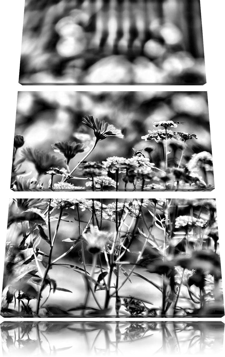 Pixxprint Blumenwiese als Leinwandbild/Grösse: 3 Teilig (120x80) cm/Wandbild/Kunstdruck/fertig bespa