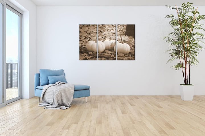 deyoli Herbstliche Kürbise Effekt: Sepia Format: 3Teilig als Leinwandbild, Motiv fertig gerahmt auf