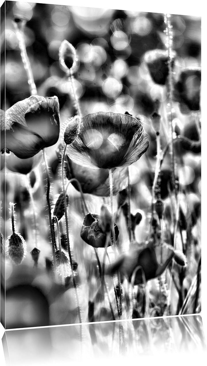 Monocrome, Mohnwiese, Format: 100x70 auf Leinwand, XXL riesige Bilder fertig gerahmt mit Keilrahmen,