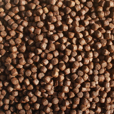 Tomodachi Koifutter, Schwimmfutter, Wachstumsfutter Koi, Energiefutter, Aufzuchtfutter Koi, Premium