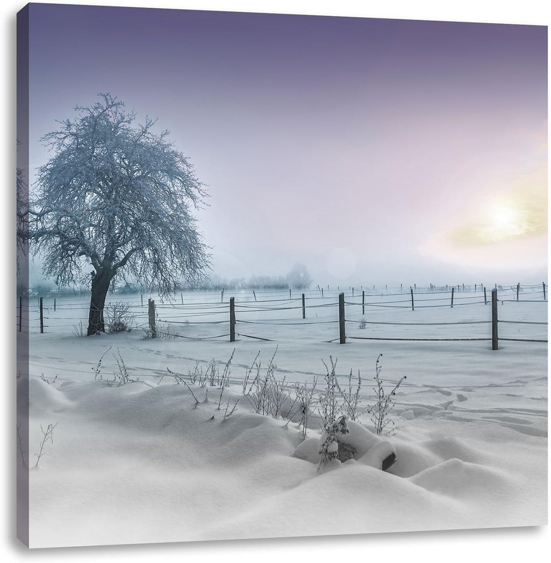 Pixxprint Baum in Winterlandschaft als Leinwandbild Quadratisch| Grösse: 70x70 | Wandbild| Kunstdruc