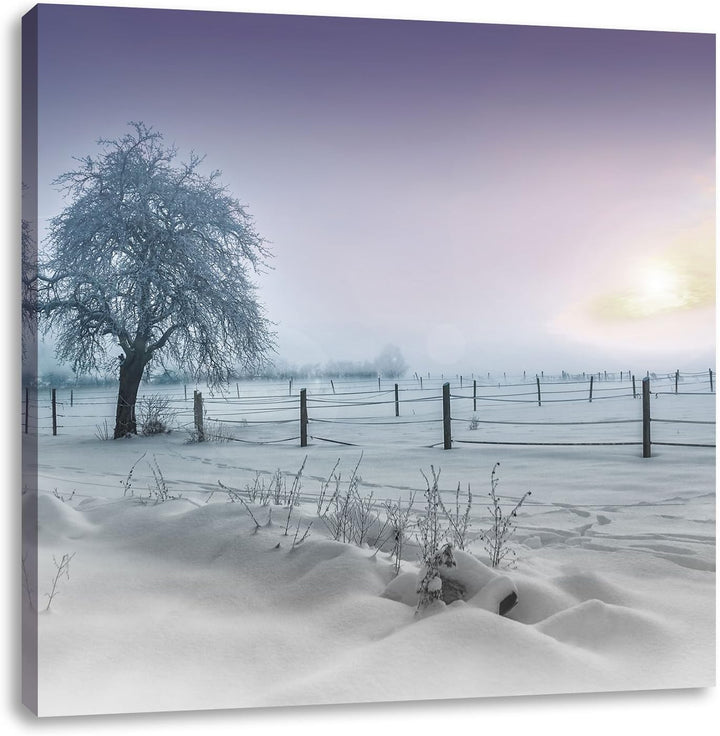 Pixxprint Baum in Winterlandschaft als Leinwandbild Quadratisch| Grösse: 70x70 | Wandbild| Kunstdruc