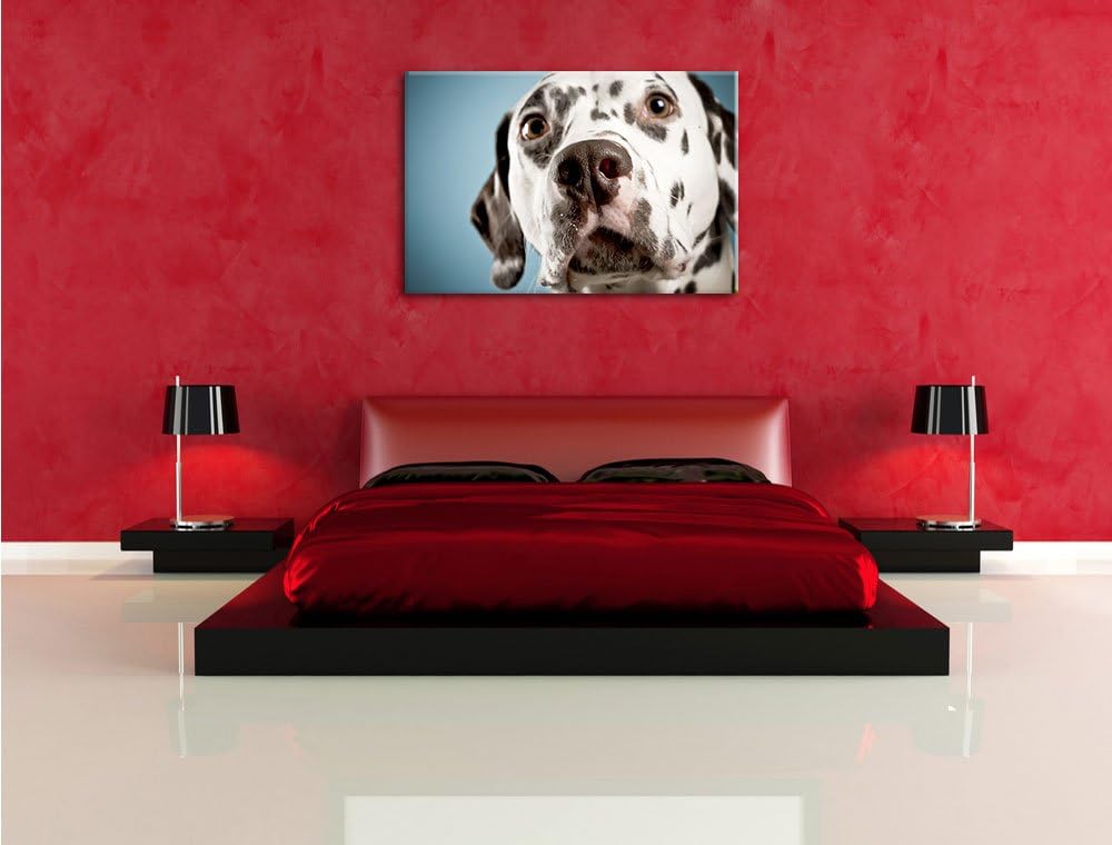 Süsser Dalmatiner Format: 100x70 auf Leinwand, XXL riesige Bilder fertig gerahmt mit Keilrahmen, Kun