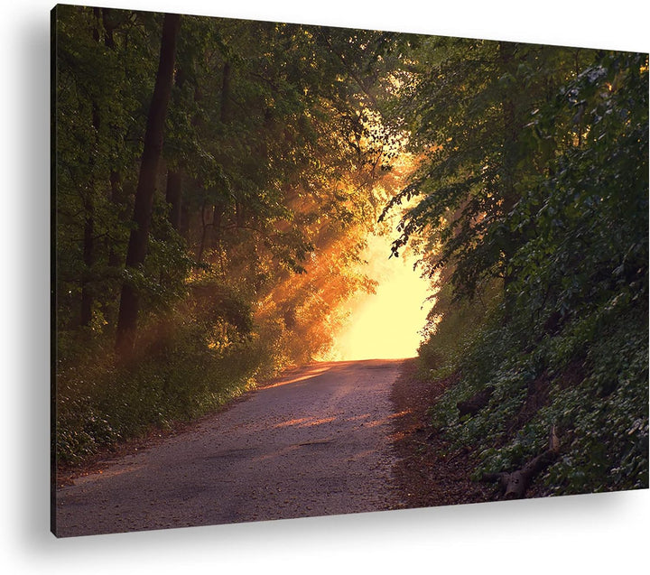 deyoli Waldweg im schönen Sonnenlicht am Abend im Format: 80x60 als Leinwandbild, Motiv fertig gerah