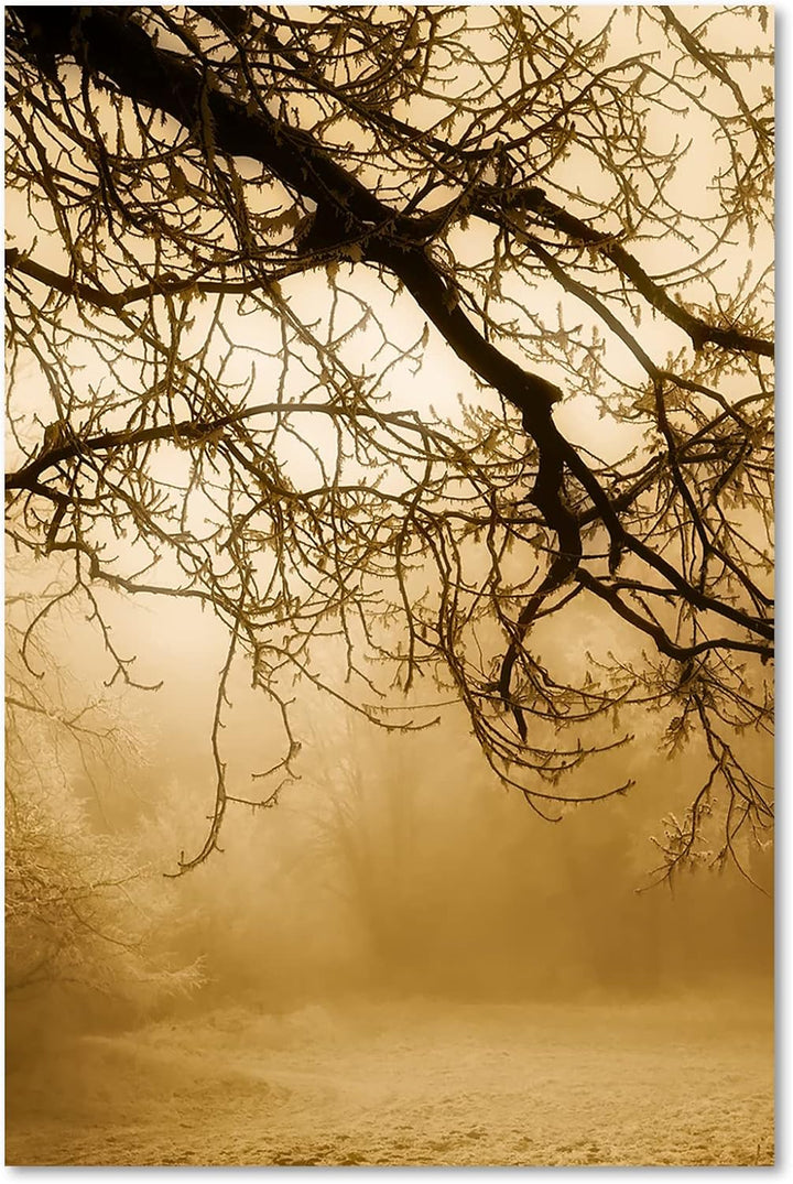 Feeby Wandbilder Wald im Nebel Landschaft XXL 60x90 cm 1Teilig Modern Vlies Bilder Leinwandbilder Bi