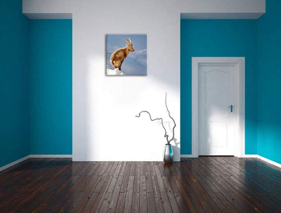 Steinbock im Schnee, Format: 70x70 auf Leinwand, XXL riesige Bilder fertig gerahmt mit Keilrahmen, K