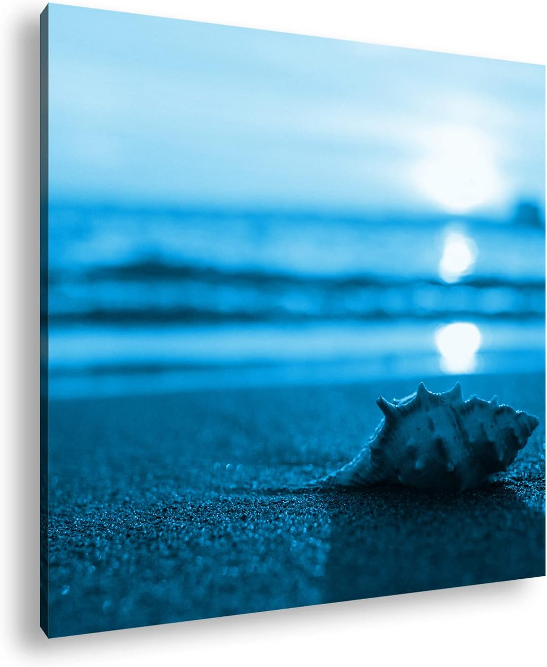 deyoli einzelne Muschel am Strand Format: 60x60 Effekt: Monocrome Blau als Leinwandbild, Motiv ferti