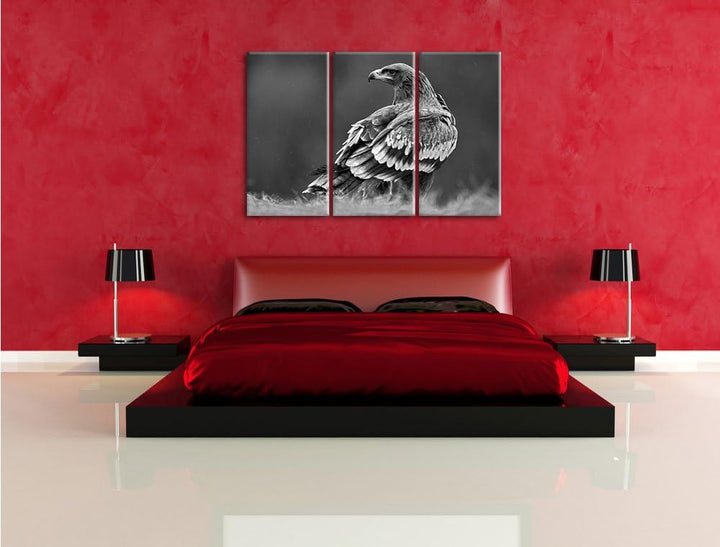 Pixxprint Falke mit Gefieder als Leinwandbild/Grösse: 3 Teilig (120x80) cm/Wandbild/Kunstdruck/ferti