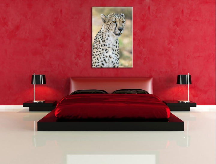 Pixxprint ausgewachsener Gepard auf Leinwand, XXL riesige Bilder fertig gerahmt mit Keilrahmen, Kuns