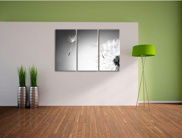 Pixxprint Löwenzahn Schirmflieger Pusteblume Kunst B&W 3-Teiler Leinwandbild 120x80 Bild auf Leinwan