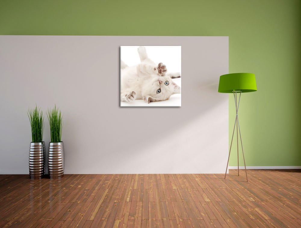 Pixxprint Kleine Katze, Format: 70x70 auf Leinwand, XXL riesige Bilder fertig gerahmt mit Keilrahmen