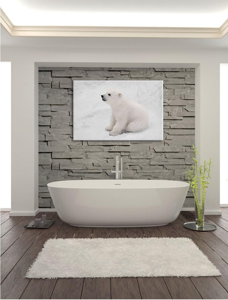 Pixxprint niedliches Eisbär Baby als Leinwandbild/Grösse: 100x70 cm/Wandbild/Kunstdruck/fertig bespa