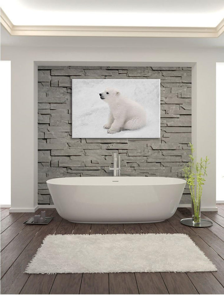 Pixxprint niedliches Eisbär Baby als Leinwandbild/Grösse: 100x70 cm/Wandbild/Kunstdruck/fertig bespa