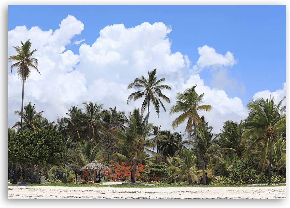 Feeby Deco Panel tropische Landschaft Bild Kunstdruck modern mehrfarbig 90x60 cm Deko paneel 90x60 c