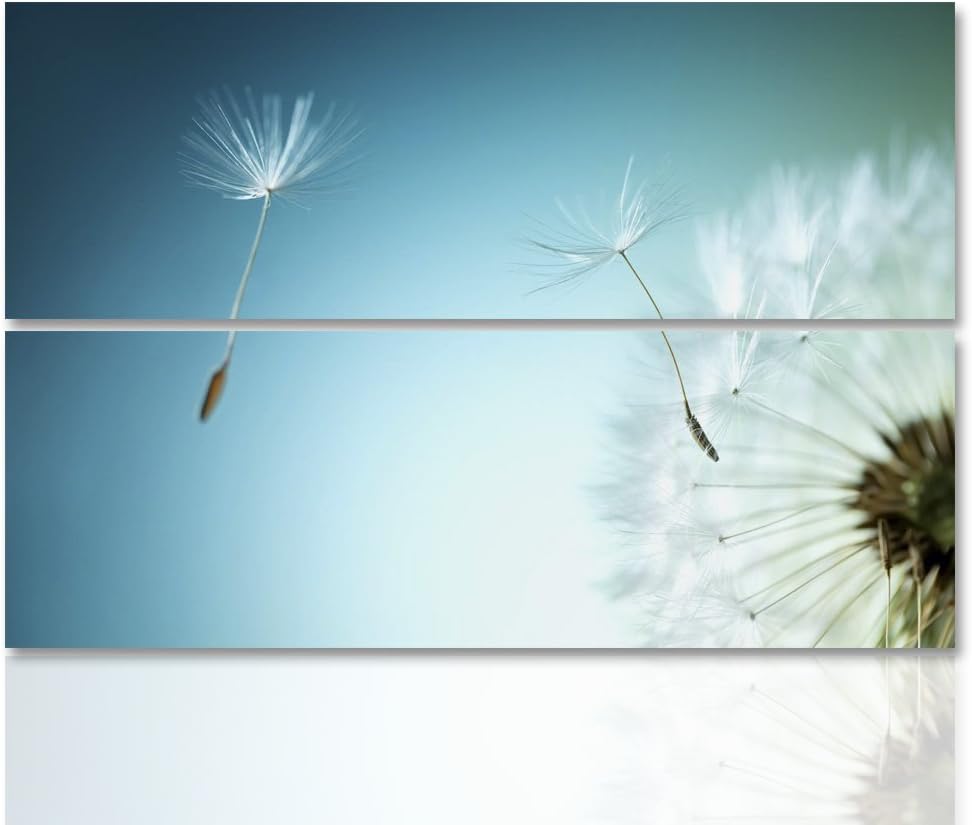 Feeby. Wandbilder - 2 Teile - 80x80 cm - rechteckige Form Bilder Kunstdrucke Deko Panel LÖWENZAHN, N