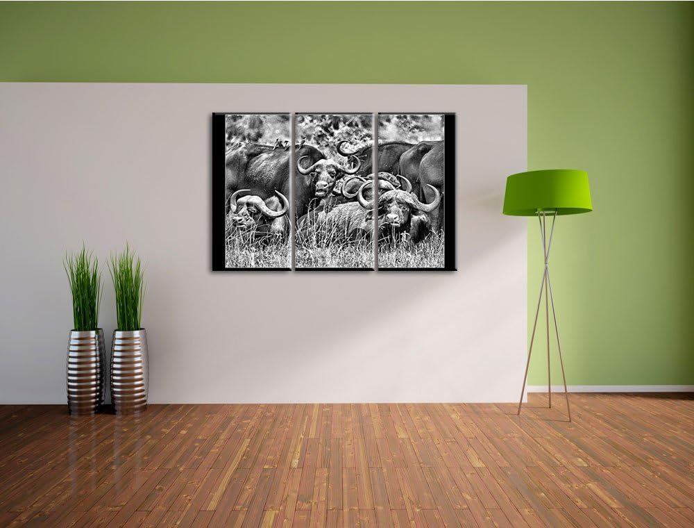 Pixxprint Monocrome, grosse Kaffernbüffel Herde 3-Teiler Leinwandbild 120x80 Bild auf Leinwand