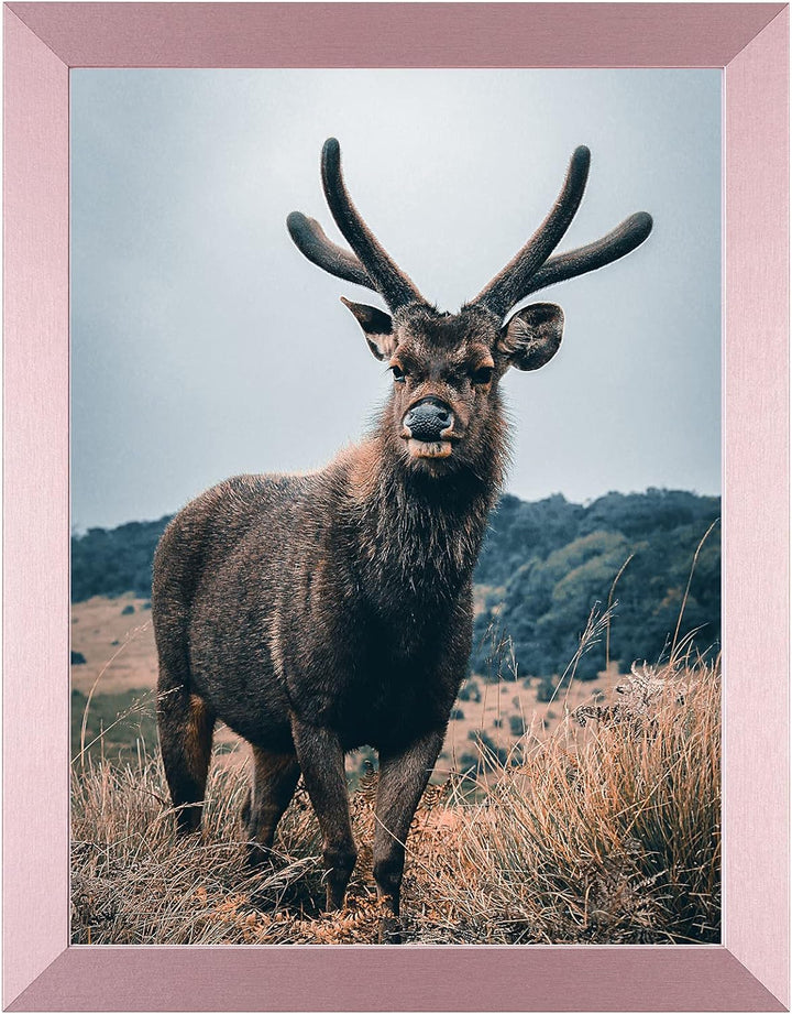 Rahmendesign24 Posterrahmen Milano 50x50 Roségold Fotorahmen, Wechselrahmen, Bilderrahmen, Puzzlerah