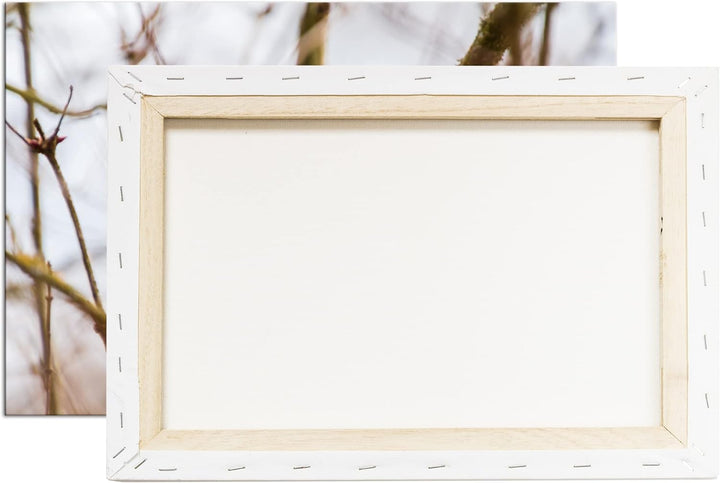 deyoli singendes Rotkehlchen Format: 80x60 als Leinwandbild, Motiv fertig gerahmt auf Echtholzrahmen