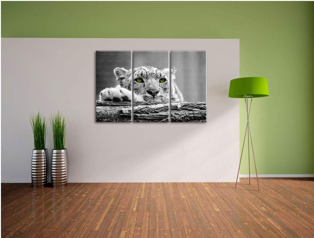 Schöner Gepard mit grünen Augen auf Baumstamm schwarz/weiss 3-Teiler Leinwandbild 120x80 Bild auf Le