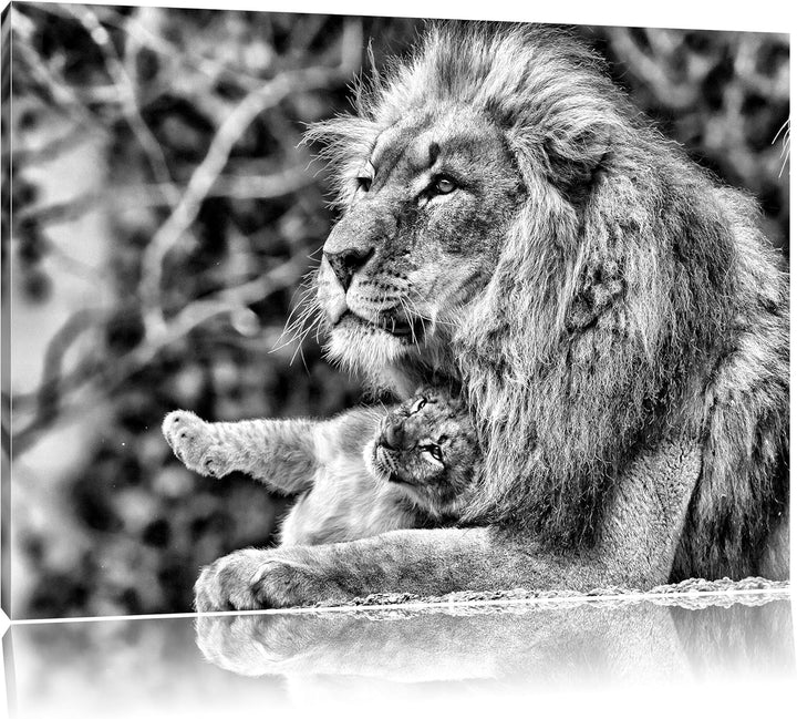 Pixxprint Monocrome, liebevoller Löwe mit Jungtier, Format: 100x70 auf Leinwand, riesige Bilder fert