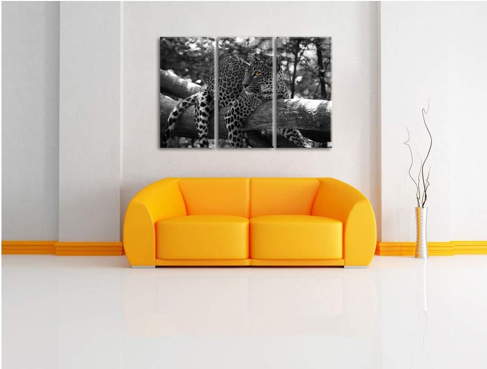 Pixxprint liegender Leopard auf AST als Leinwandbild | Grösse: 3 Teilig (120x80) | Wandbild| Kunstdr