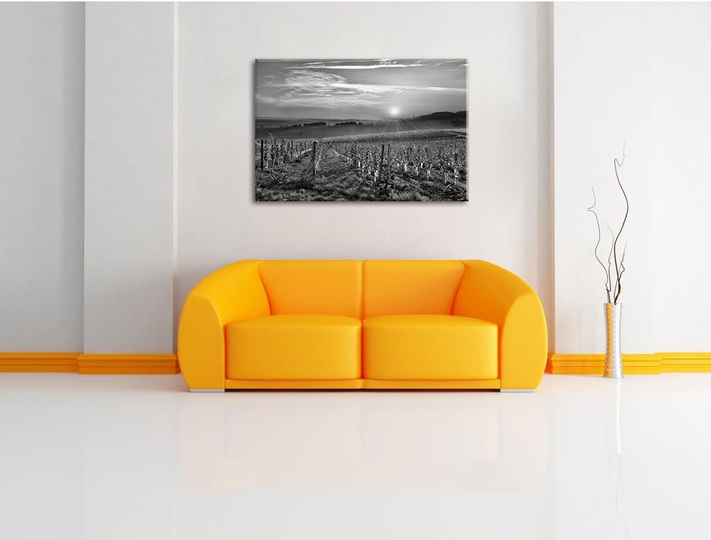 Pixxprint Weinberg in Bergerac Frankreich Kunst B&W, Format: 100x70 auf Leinwand, 100x70