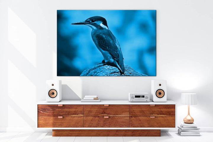 deyoli Eleganter Eisvogel mit blauem Gefieder Format: 80x60 Effekt: Monocrome Blau als Leinwandbild,