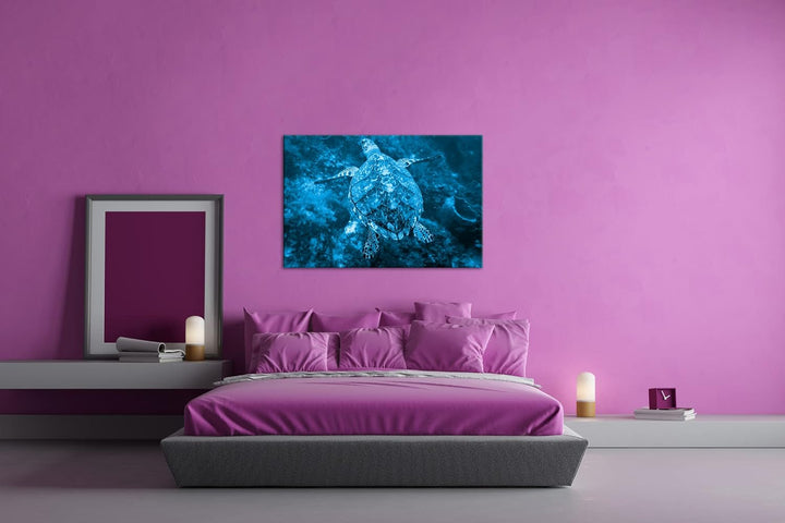 deyoli anmutige Schildkröte Format 80x60 Effekt: Monocrome Blau als Leinwandbild, Motiv fertig gerah