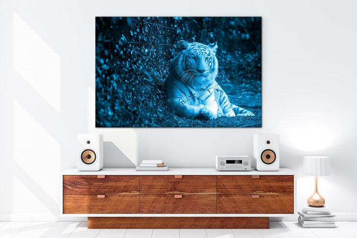 deyoli anmutiger weisser Tiger Format 80x60 Effekt: Monocrome Blau als Leinwandbild, Motiv fertig ge