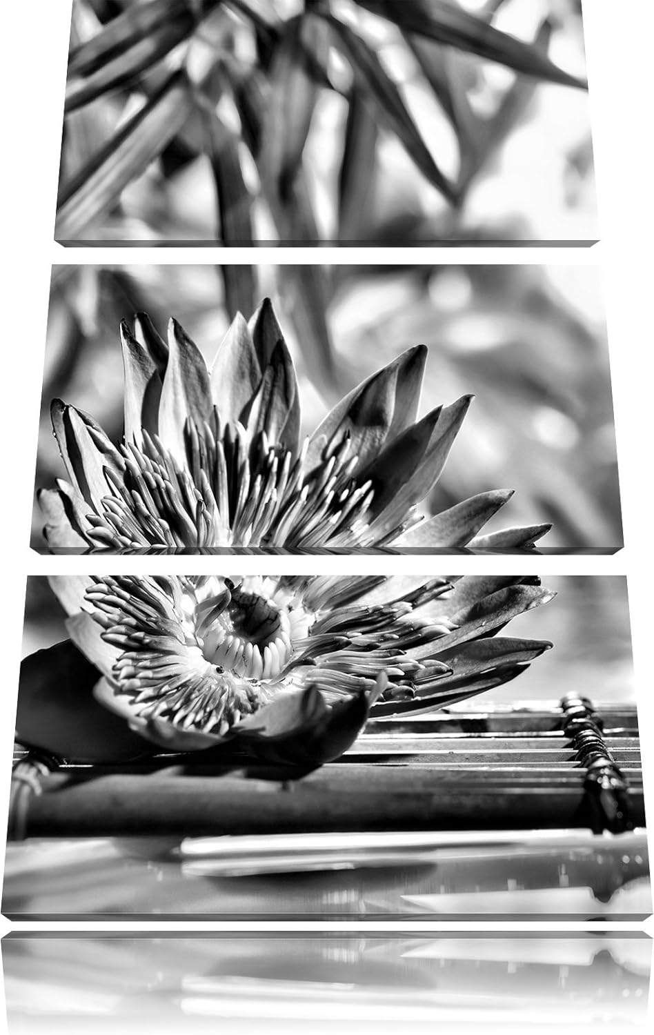Pixxprint Monocrome, Seerose auf Bambus Wellness 3-Teiler Leinwandbild 120x80 Bild auf Leinwand