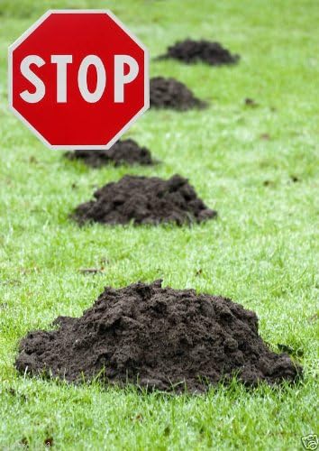 MAULWURFNETZ 2m x 50m Maulwurfbekämpfung Maulwurfsperre für Rasen-Rollrasen