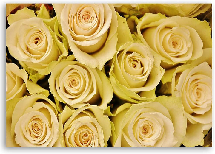 Feeby Vlies Leinwandbild Natura Plants Blumen 80x60 cm Wand Bild Kunstdruck Deko Wohnzimmer Wohnungs