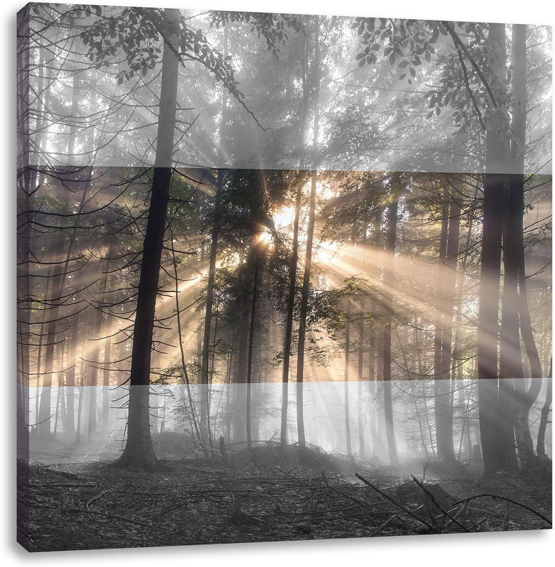 Pixxprint Herbstwald im Nebel schwarz/weiss, Format: 70x70 auf Leinwand, 70x70