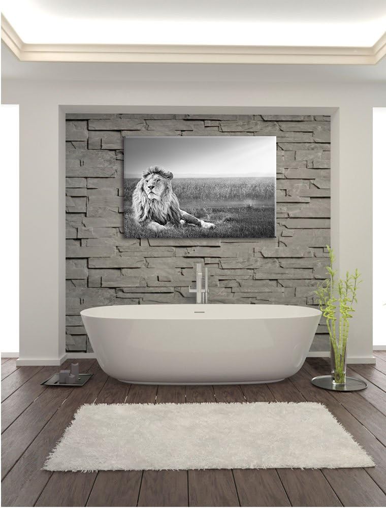 Pixxprint Majestätischer Löwe Kunst B&W als Leinwandbild/Grösse: 100x70 / Wandbild/Kunstdruck/fertig