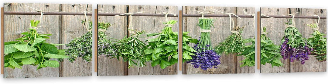 Feeby Bilder 4 Teile Kräuter Pflanzen 80x20 cm Wohnzimmer Schlafzimmer Büro Flur Küche Wandbilder Mo