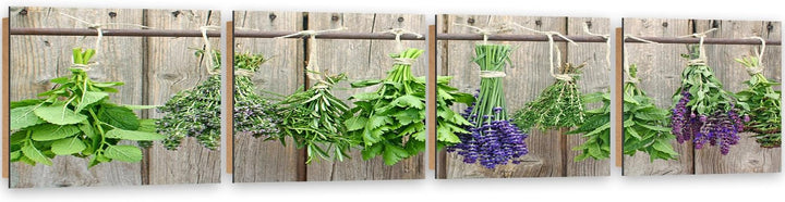 Feeby Bilder 4 Teile Kräuter Pflanzen 80x20 cm Wohnzimmer Schlafzimmer Büro Flur Küche Wandbilder Mo