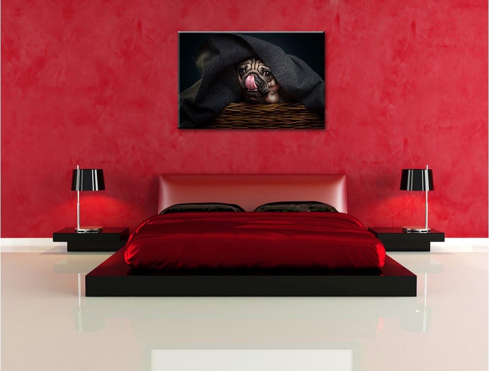 Pixxprint Süsser Mops unter der Decke, Format: 100x70 auf Leinwand, 100x70