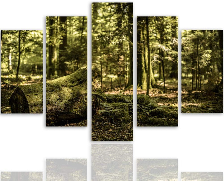 Feeby Wanddeko XXL Landschaft Leinwandbild 5 Teilig Wald Bäume Natur braun 100x70 cm Leinwandbild 10
