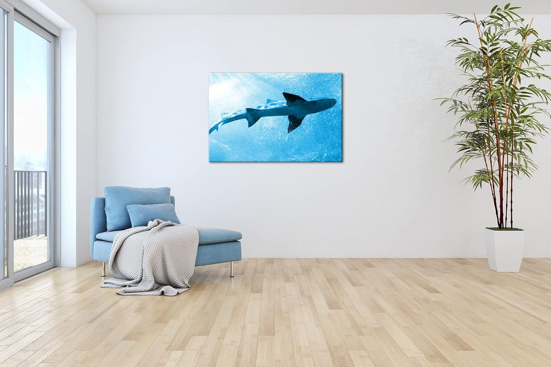 deyoli grosser Hai im Aquarium Format 80x60 Effekt: Monocrome Blau als Leinwandbild, Motiv fertig ge
